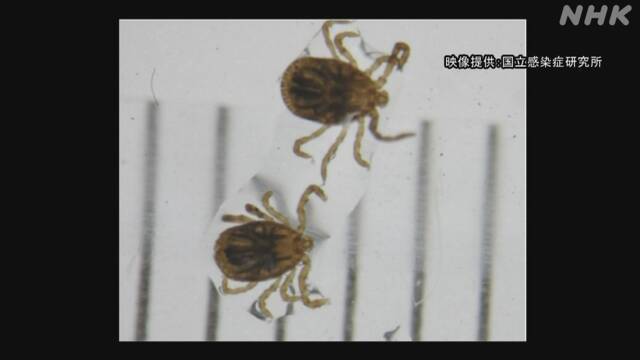 Article header image