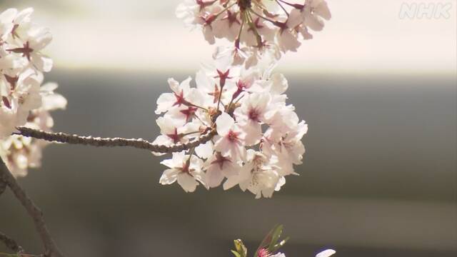 Article header image