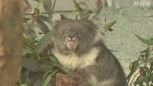 Article header image