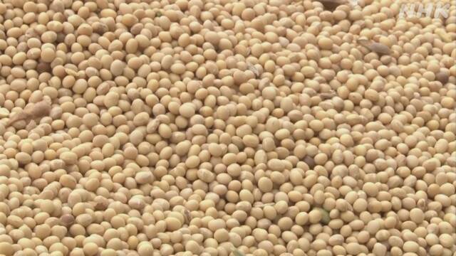 Article header image