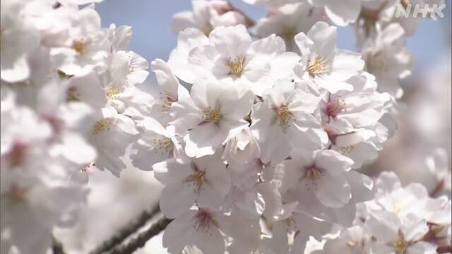 Article header image