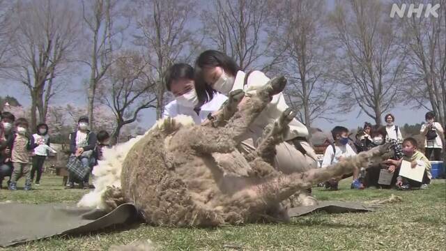 Article header image