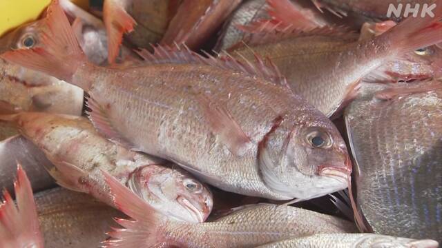 Article header image