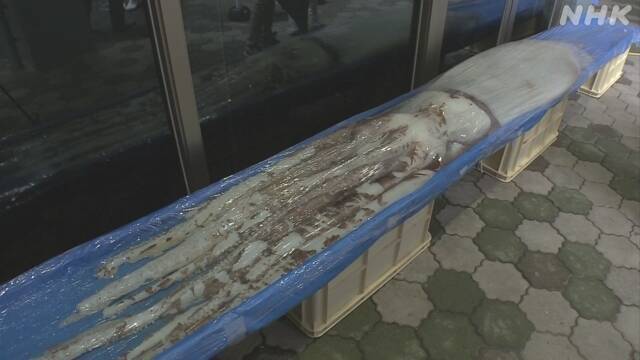 Article header image