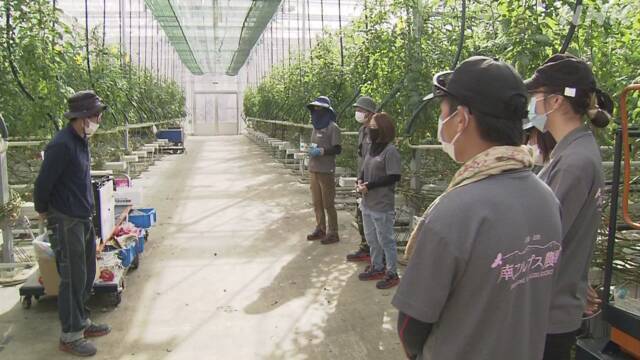 Article header image