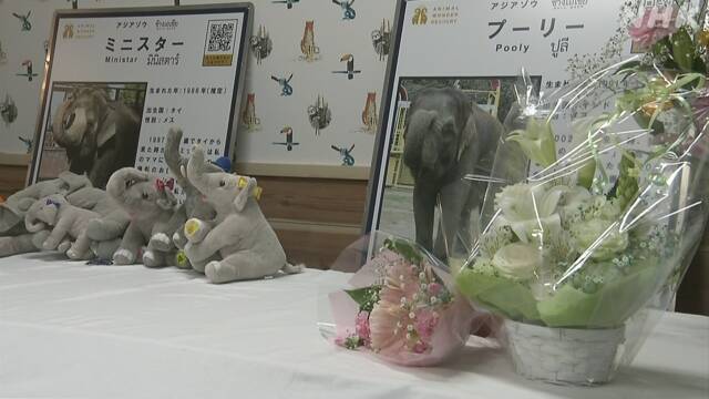 Article header image