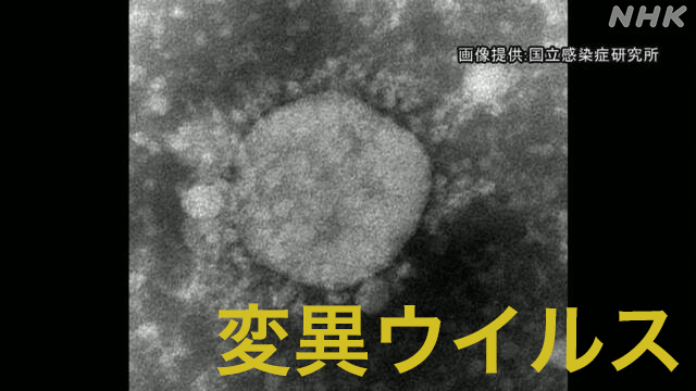 Article header image