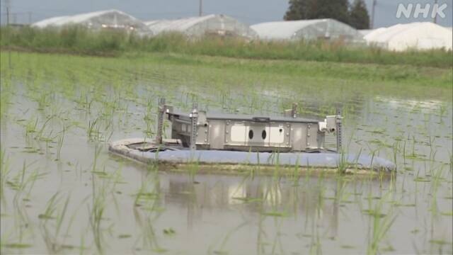 Article header image