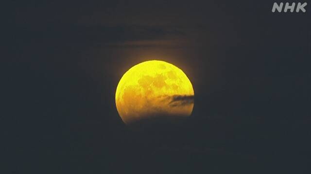 Article header image