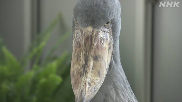 Article header image