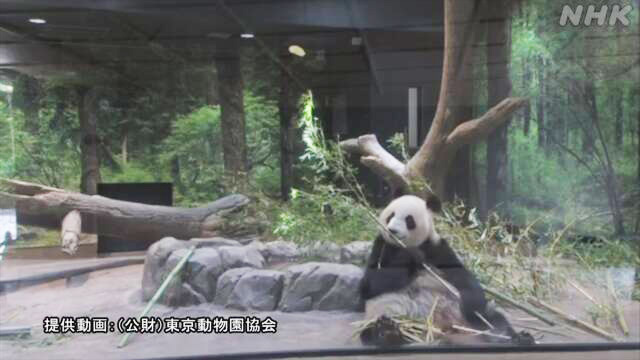 Article header image