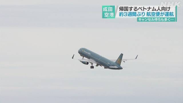 Article header image