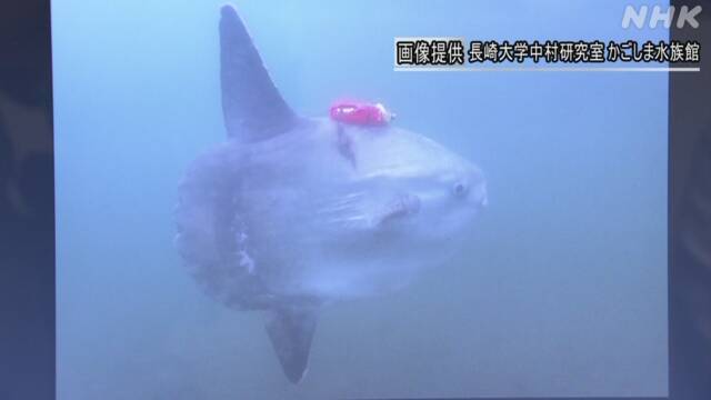 Article header image