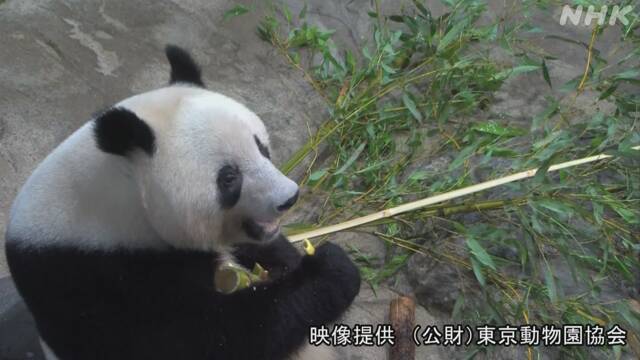 Article header image