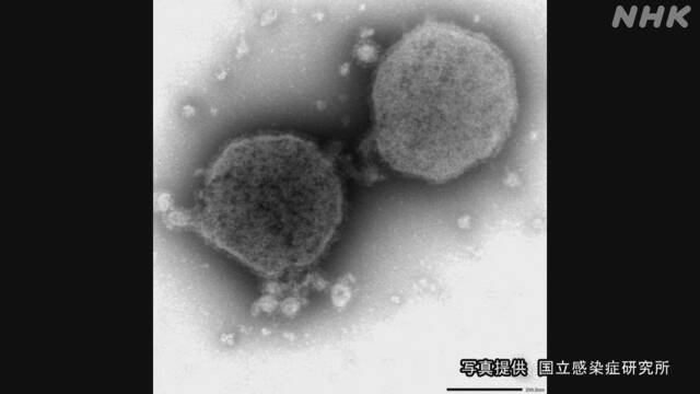 Article header image