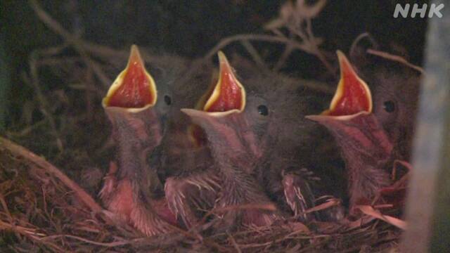 Article header image