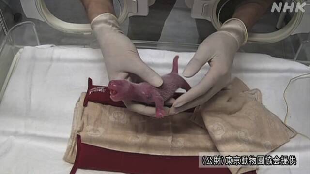 Article header image