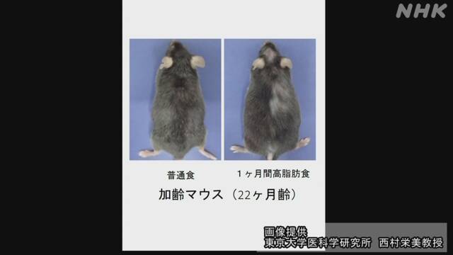 Article header image