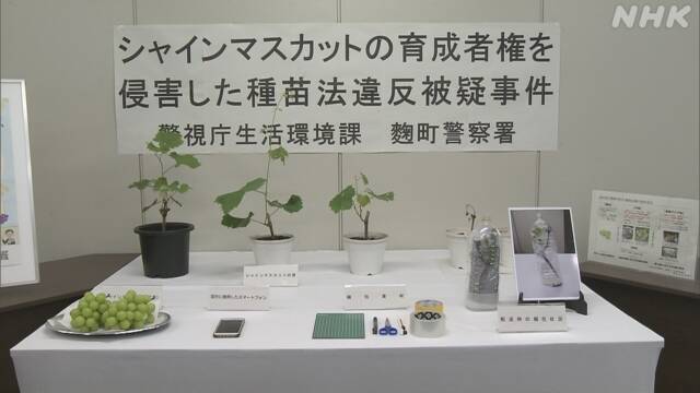 Article header image