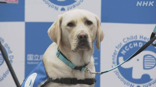 Article header image