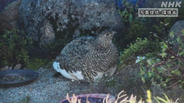 Article header image