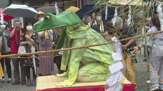 Article header image