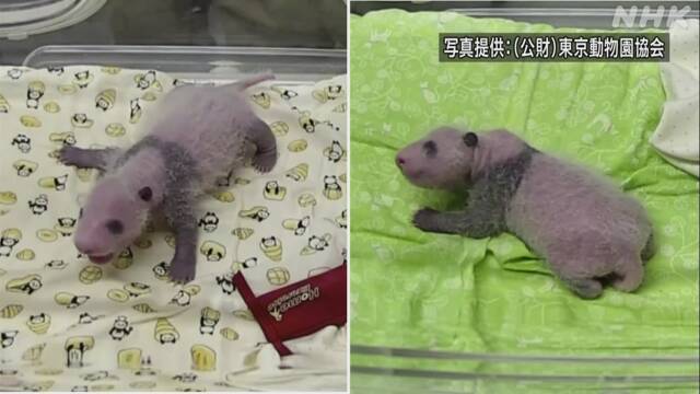 Article header image