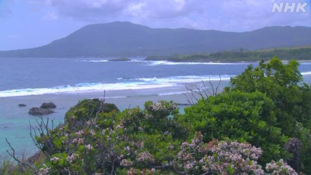 Article header image