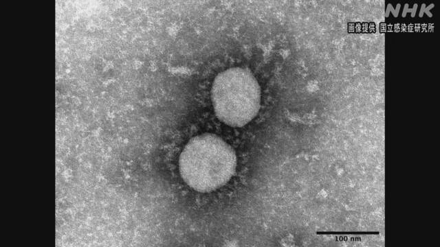 Article header image