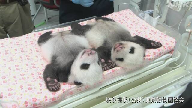 Article header image