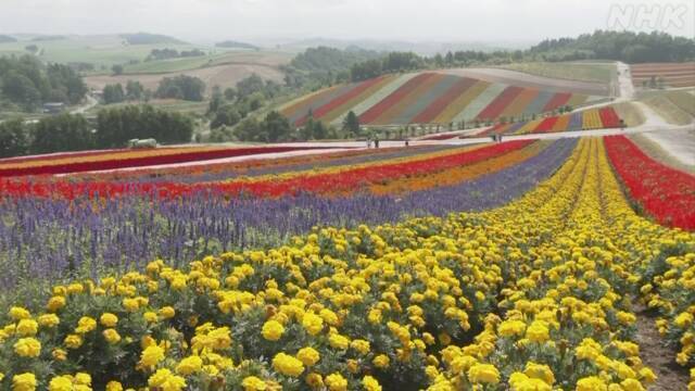 Article header image