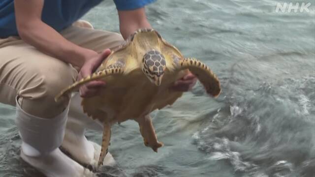 Article header image