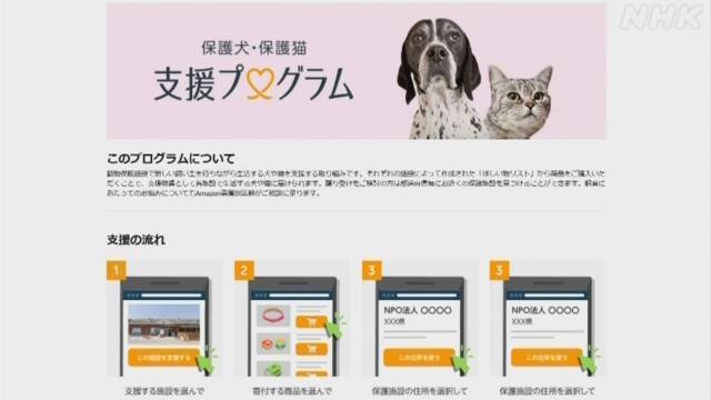 Article header image