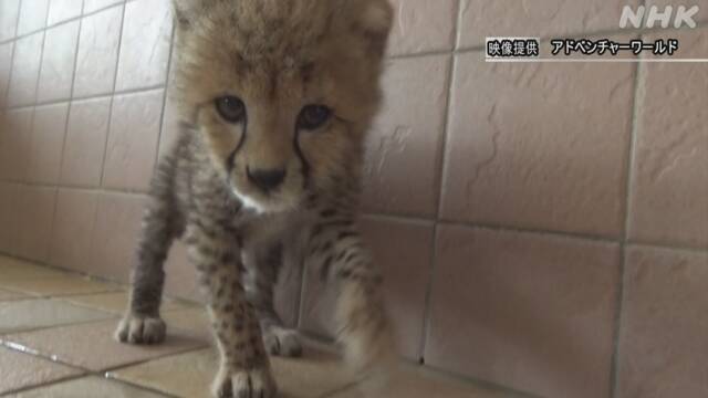 Article header image