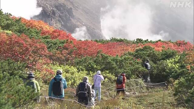 Article header image