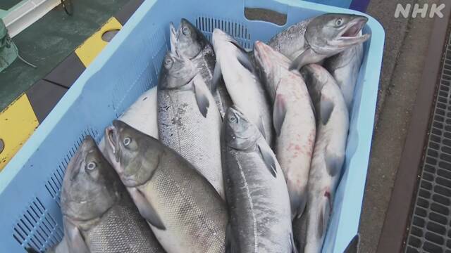 Article header image