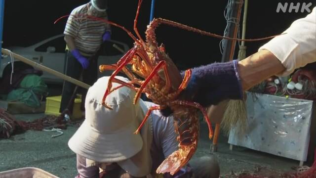 Article header image