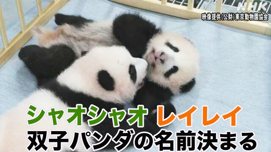 Article header image