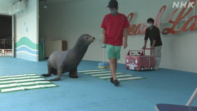 Article header image