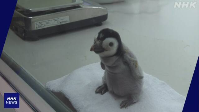 Article header image