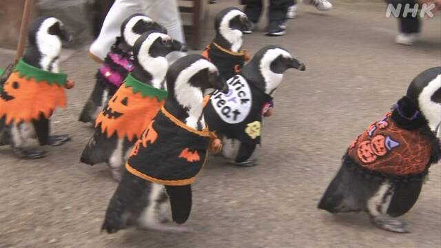 Article header image