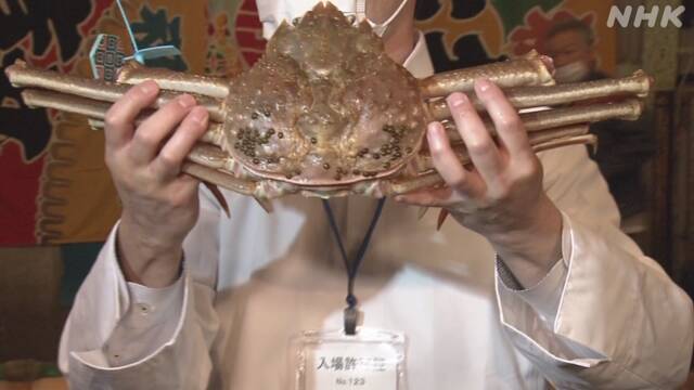 Article header image