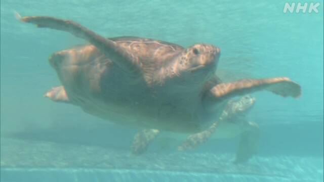 Article header image