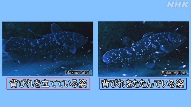 Article header image