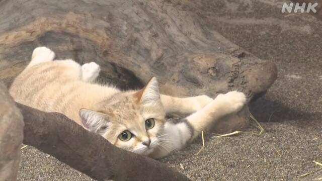 Article header image