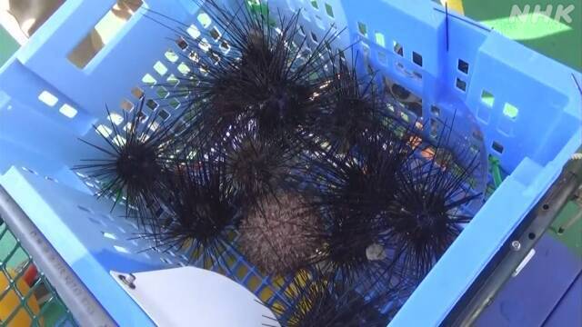 Article header image