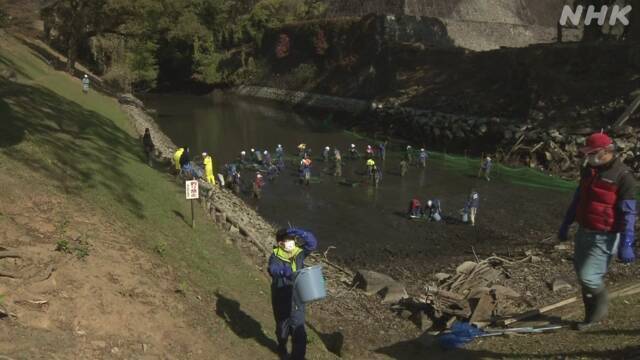 Article header image