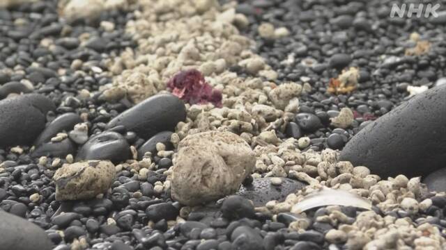 Article header image