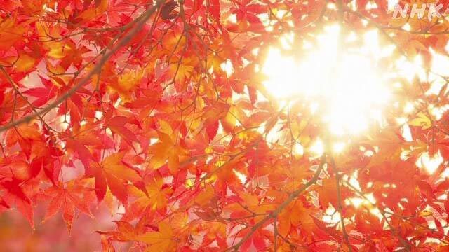 Article header image