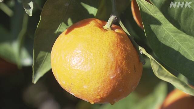 Article header image